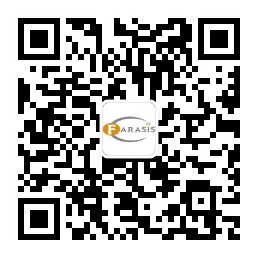 1607587171394938794